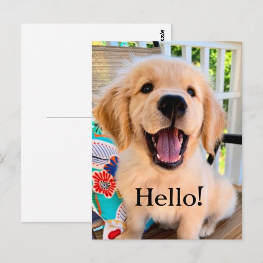 Het glimlachen van Golden Retriever Puppy Hallo Briefkaart (Voorkant / Achterkant)