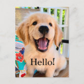 Het glimlachen van Golden Retriever Puppy Hallo Briefkaart (Voorkant)
