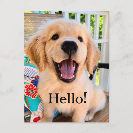 Het glimlachen van Golden Retriever Puppy Hallo Briefkaart (Voorkant)