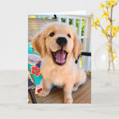 Het glimlachen van Golden Retriever Puppy Hallo Kaart (Gele Bloem)