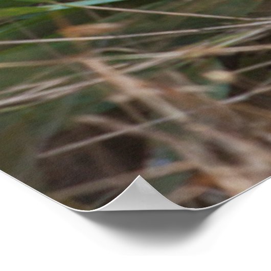 Het glimlachen van het portret van Panda Poster (Hoek)