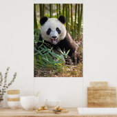Het glimlachen van het portret van Panda Poster (Keuken)