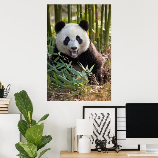 Het glimlachen van het portret van Panda Poster (Thuiskantoor)