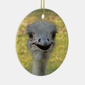 Het glimlachen van ornament Ostrich (Rechts)