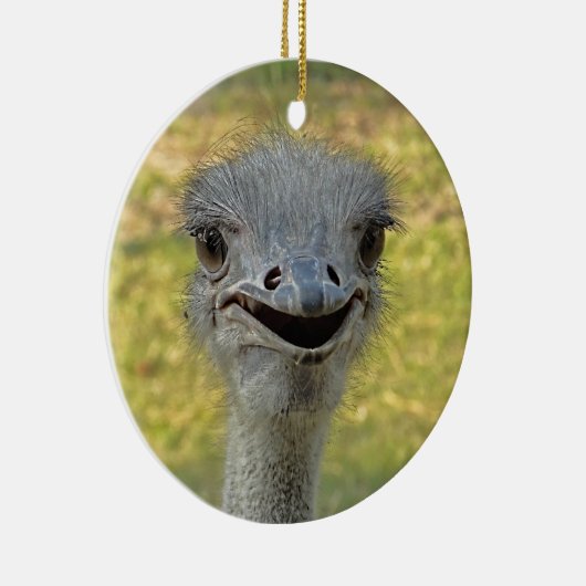 Het glimlachen van ornament Ostrich (Rechts)