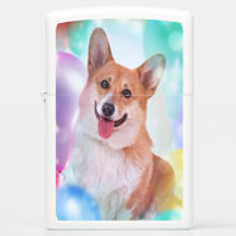 Het glimlachen van Welsh Corgi met ballonnen