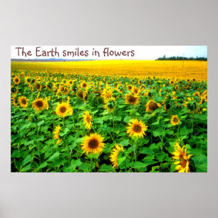 Het glimlachen van zonnebloemen door TDGallery Poster