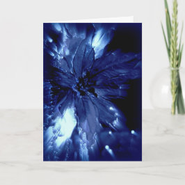 Het gloeien blauwe pointsetta op zwarte Kerstkaart Feestdagen Kaart