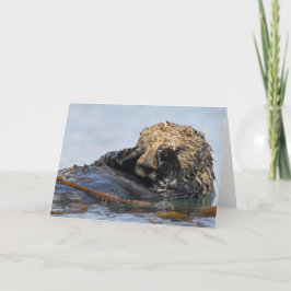 Het gluren de Kaart van de Otter van het Zee