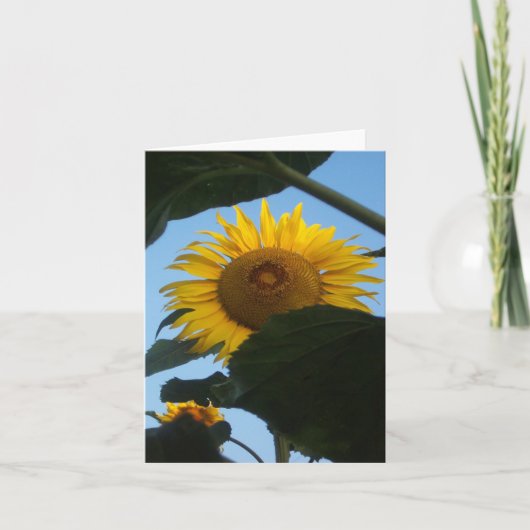 Het Gluren Notecard van de zonnebloem Kaart (Voorkant)