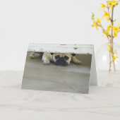 Het gluren Pug Wenskaart - Spatie binnen Kaart (Gele Bloem)