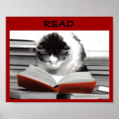 Het goed-gelezen Poster van de Literatie van de Ka (Voorkant)