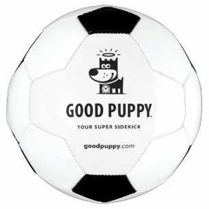 Het GOEDE Voetbal van het PUPPY