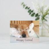 Het Golden retriever van de slaap met Wit Feestdagenkaart (Staand voorkant)