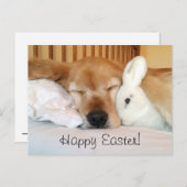 Het Golden retriever van de slaap met Wit Feestdagenkaart (Voorkant / Achterkant)