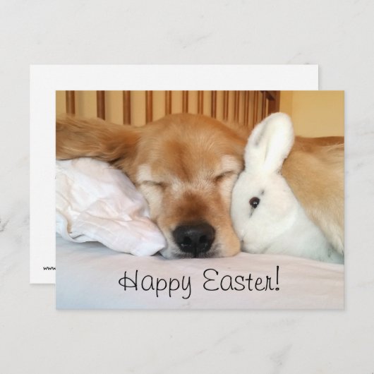 Het Golden retriever van de slaap met Wit Feestdagenkaart (Voorkant / Achterkant)