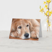 het golden retriever wordt goed spoedig kaart (Gele Bloem)