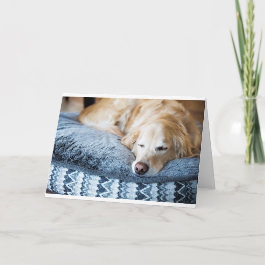 Het golden retrieverwenskaart van de slaap kaart (Voorkant)
