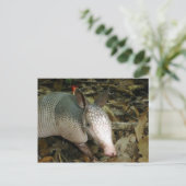 Het Gordeldier van het baby Briefkaart (Staand voorkant)