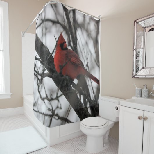 Het gordijn Mr Shower (In situ)