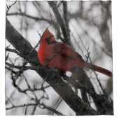 Het gordijn Mr Shower (Voorkant)