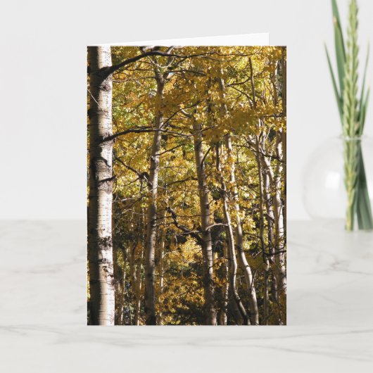 Het Goud van de esp Kaart (Voorkant)