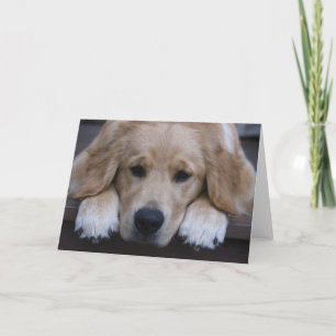 Het gouden Puppy handtastelijk wordt Wenskaart Kaart