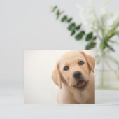 Het gouden Puppy van Labrador Briefkaart (Staand voorkant)