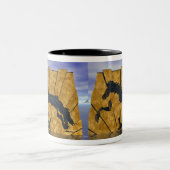 Het Gouden Tolt IJslandse Paard Tweekleurige Koffiemok (Center)