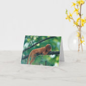 HET GOUDEN VAN DE LEEUW WENSKAART VAN DE TAMARIN- KAART (Gele Bloem)