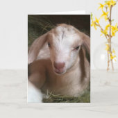 Het gouden wenskaart van het geitkind kaart (Gele Bloem)