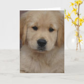 Het gouden Wenskaart van het Puppy Kaart (Gele Bloem)