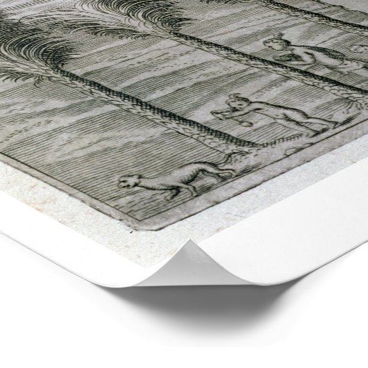 Het Gouverneur-paleis op het eiland Dominica (e Poster (Hoek)