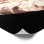 Het Graceful Poster (Hoek)