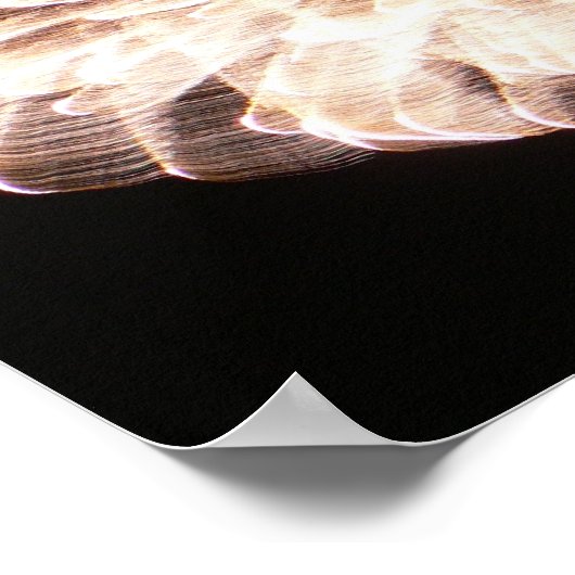 Het Graceful Poster (Hoek)