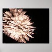 Het Graceful Poster (Voorkant)