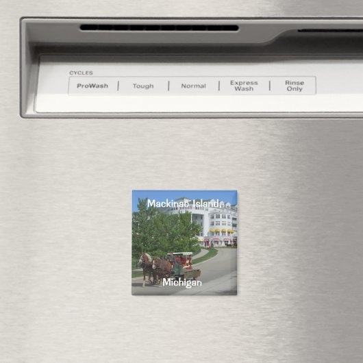 Het Grand Hotel Magneet (Insitu (Vaatwasser))