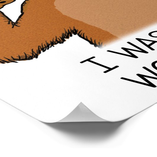 Het grappige Beer werd verteld dat er donuts zoude Poster (Hoek)