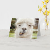 Het Grappige Gezicht van de alpaca Kaart (Gele Bloem)