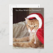 Het grappige Knorrige Briefkaart van Kerstmis van (Voorkant / Achterkant)