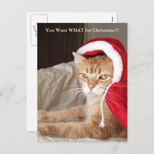 Het grappige Knorrige Briefkaart van Kerstmis van (Voorkant / Achterkant)