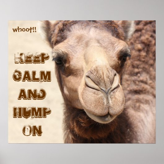 Het grappige Poster van Camel houdt kalm en Hump a (Voorkant)