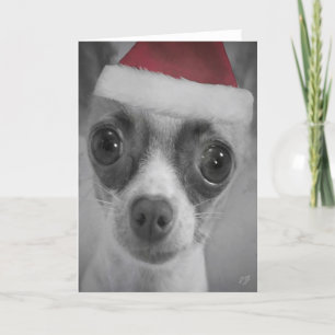 Het Grappige Puppy Chihuahua van Kerstmis met het Feestdagen Kaart