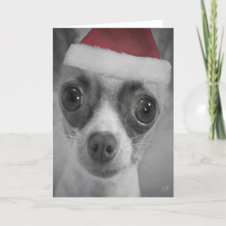 Het Grappige Puppy Chihuahua van Kerstmis met het Feestdagen Kaart