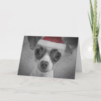 Het Grappige Puppy Chihuahua van Kerstmis met het Feestdagen Kaart