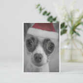 Het Grappige Puppy Chihuahua van Kerstmis met het Feestdagenkaart (Staand voorkant)