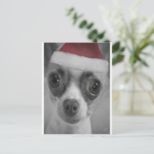 Het Grappige Puppy Chihuahua van Kerstmis met het Feestdagenkaart (Staand voorkant)