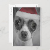 Het Grappige Puppy Chihuahua van Kerstmis met het Feestdagenkaart (Voorkant / Achterkant)