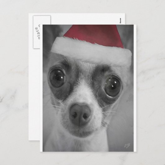 Het Grappige Puppy Chihuahua van Kerstmis met het Feestdagenkaart (Voorkant / Achterkant)