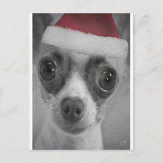 Het Grappige Puppy Chihuahua van Kerstmis met het Feestdagenkaart